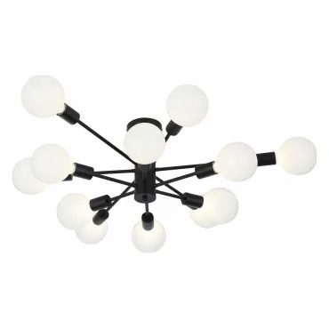 Потолочная люстра EVOLUCE Ano SL419.402.12 