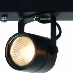 Бра Arte Lamp Lente A1310PL-4BK Цвет арматуры черный Цвет плафонов черный от ImperiumLoft