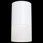 Накладной светильник Maytoni Pauline C007CW-01W Цвет арматуры белый от ImperiumLoft