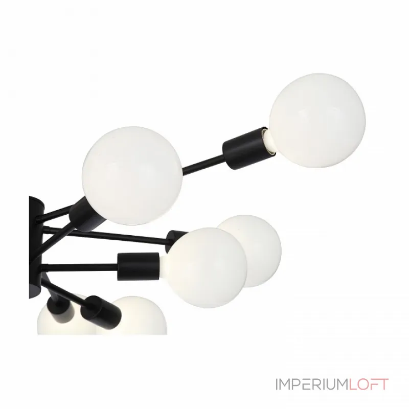 Потолочная люстра EVOLUCE Ano SL419.402.12 