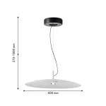 Подвесной светильник Favourite Lars 4410-2P