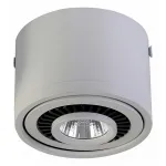 Накладной светильник Favourite Reflector 1775-1C от ImperiumLoft