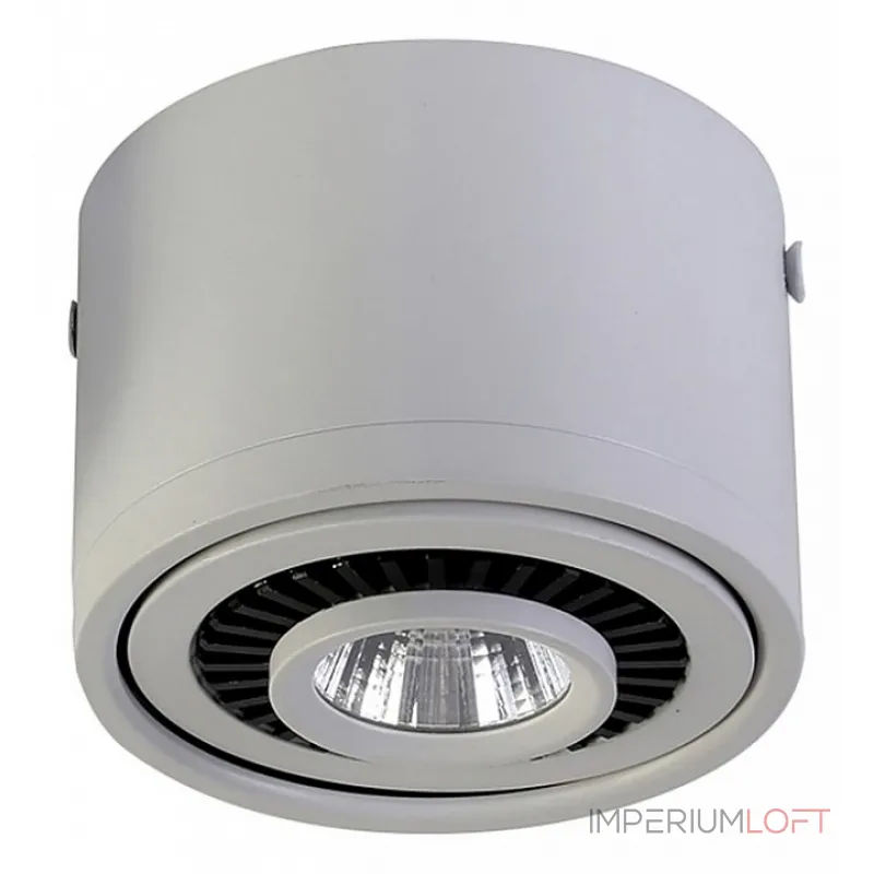 Накладной светильник Favourite Reflector 1775-1C от ImperiumLoft