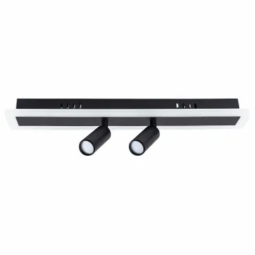 Спот Arte Lamp Tommy A2607PL-22BK