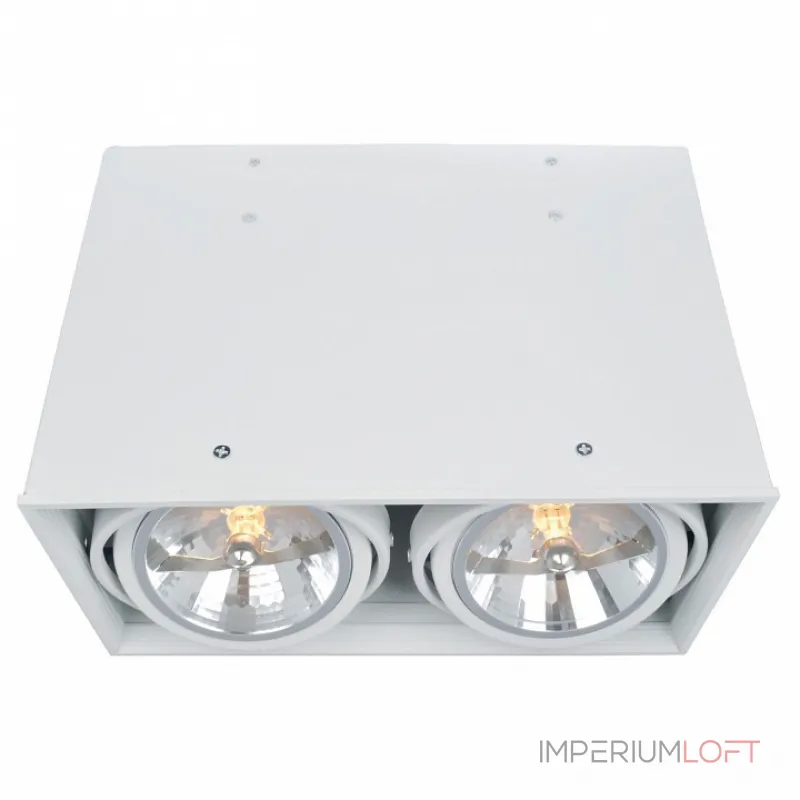 Накладной светильник Arte Lamp Cardani A5936PL-2WH Цвет арматуры белый Цвет плафонов белый от ImperiumLoft Накладной светильник Arte Lamp Cardani A5936PL-2WH Цвет арматуры белый Цвет плафонов белый от ImperiumLoft