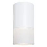 Накладной светильник Maytoni Pauline C007CW-01W Цвет арматуры белый от ImperiumLoft