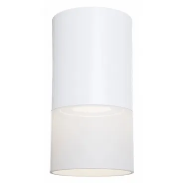 Потолочный светильник Technical C007CW-01W