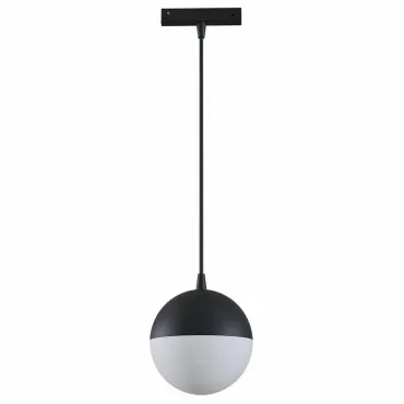 Подвесной светильник Maytoni Track lamps TR018-2-10W4K-B 