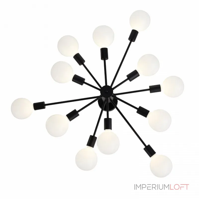 Потолочная люстра EVOLUCE Ano SL419.402.12 