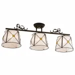 Потолочная люстра Citilux Дрезден CL409232 