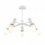 Люстра на штанге F-promo Viator 2559-5P