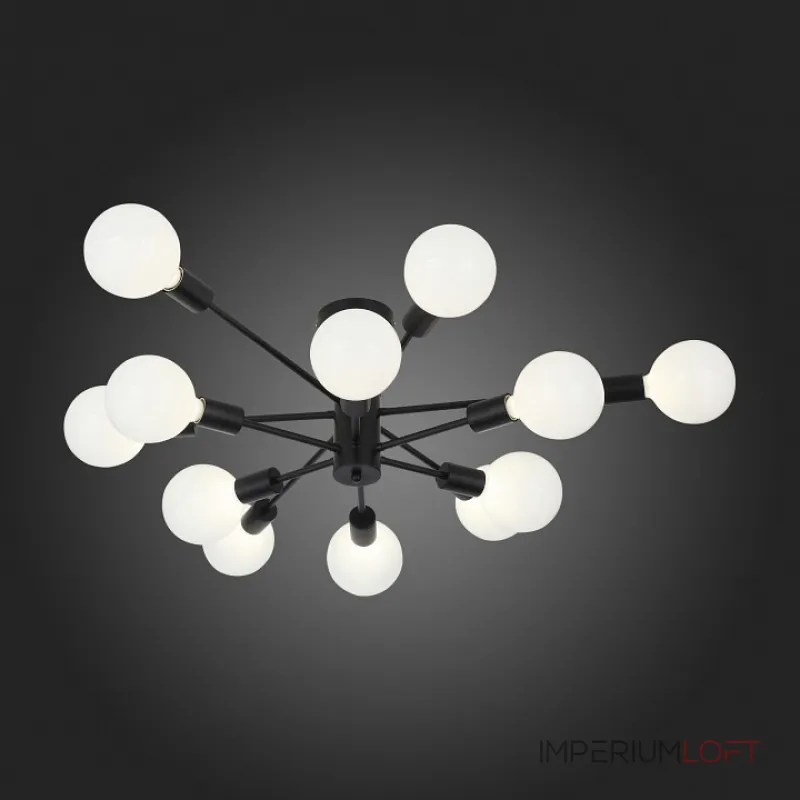 Потолочная люстра EVOLUCE Ano SL419.402.12 