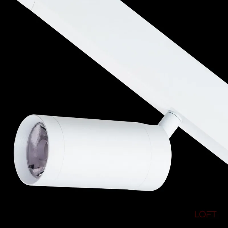 Светильник на штанге Lightstar Teta 205026 от ImperiumLoft