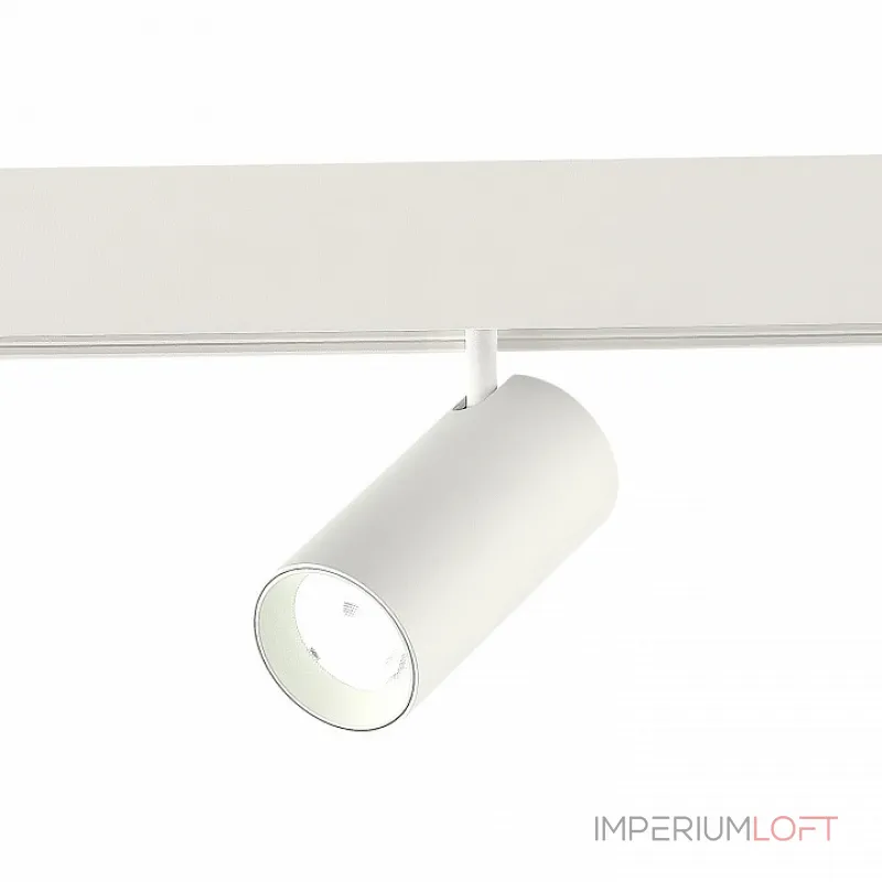 Светильник на штанге ST-Luce ST375 ST375.506.12 от ImperiumLoft