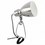 Настольная лампа декоративная Arte Lamp Dorm A1409LT-1CC Цвет арматуры хром Цвет плафонов хром от ImperiumLoft