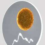 Накладной светильник Hiper Луна H833-3 от ImperiumLoft