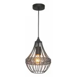 Подвесной светильник Favourite Terra 1800-1P