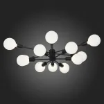 Потолочная люстра EVOLUCE Ano SL419.402.12 