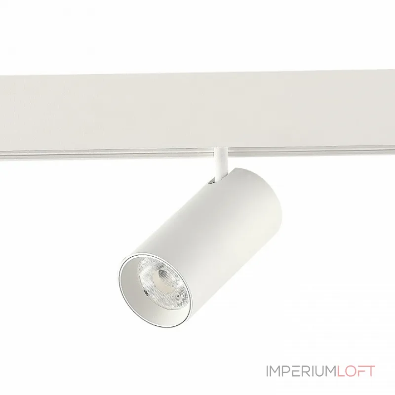 Светильник на штанге ST-Luce ST375 ST375.506.12 от ImperiumLoft