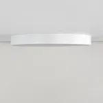 Потолочный светильник Citilux Купер CL72495G0