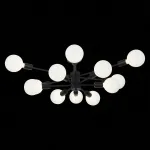 Потолочная люстра EVOLUCE Ano SL419.402.12 