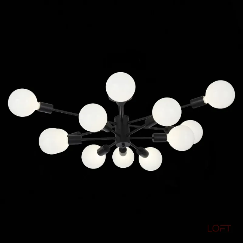 Потолочная люстра EVOLUCE Ano SL419.402.12 