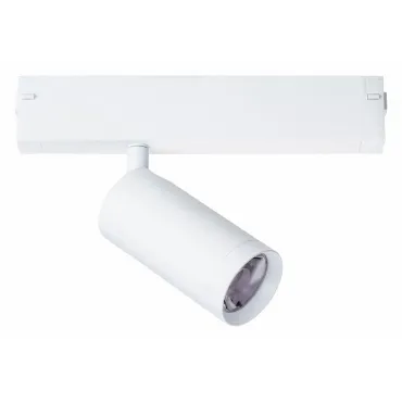 Светильник на штанге Lightstar Teta 205026 Светильник на штанге Lightstar Teta 205026