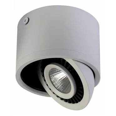 Накладной светильник Favourite Reflector 1775-1C