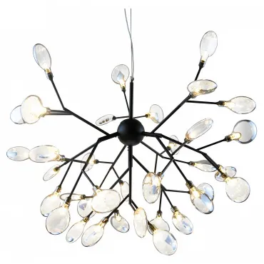 Подвесная люстра Kink Light Ветта 07521-36,19(21) Подвесная люстра Kink Light Ветта 07521-36,19(21)