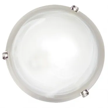 Потолочный светильник Arte Lamp Luna A3440PL-2CC 