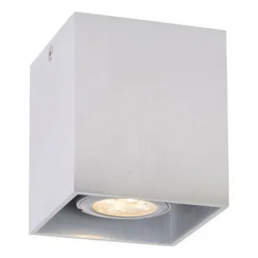 Накладной светильник Lucide Bodi 09101/01/12 Накладной светильник Lucide Bodi 09101/01/12