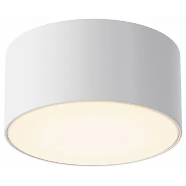 Потолочный светильник Outdoor O430CL-L15W3K