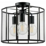 Потолочный светильник Lightstar Genni 798237 