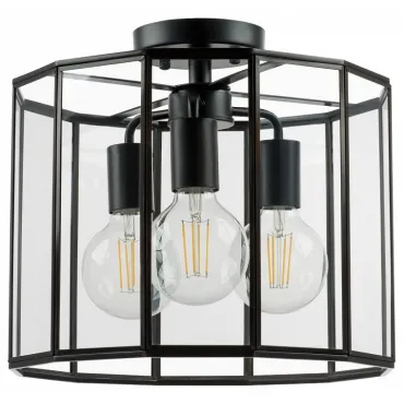 Потолочный светильник Lightstar Genni 798237 Потолочный светильник Lightstar Genni 798237
