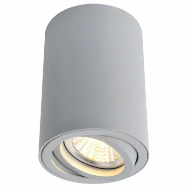 Накладной светильник Arte Lamp 1560 A1560PL-1GY Цвет арматуры серый Цвет плафонов серый Накладной светильник Arte Lamp 1560 A1560PL-1GY Цвет арматуры серый Цвет плафонов серый