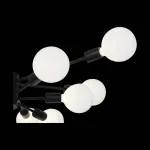 Потолочная люстра EVOLUCE Ano SL419.402.12 