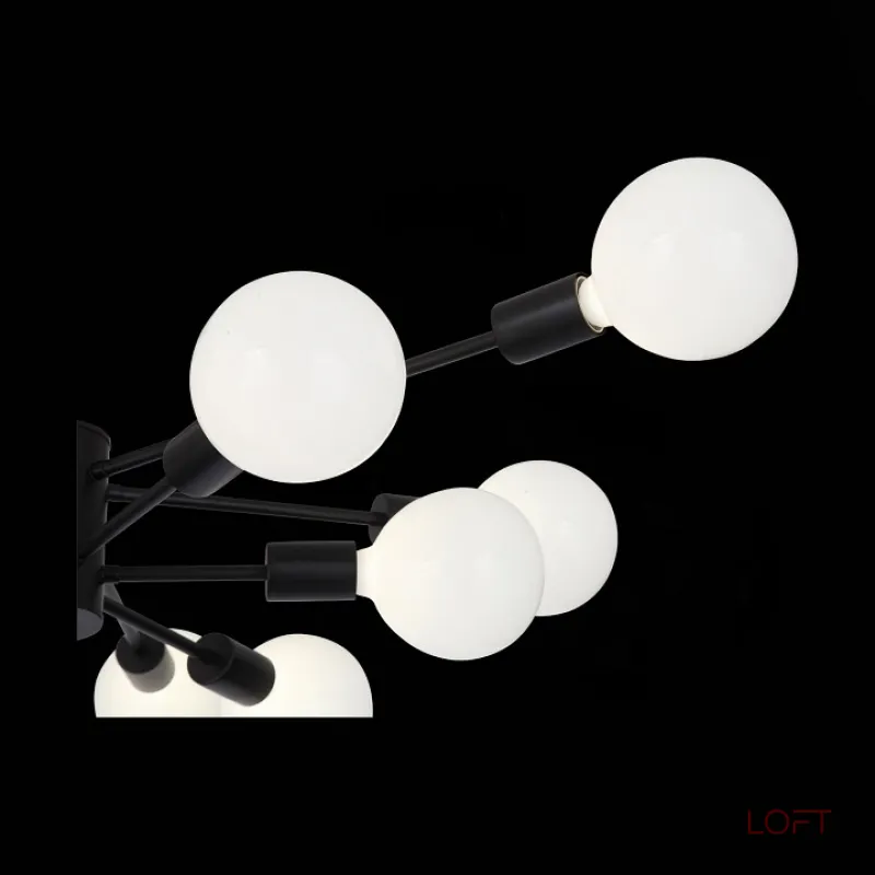 Потолочная люстра EVOLUCE Ano SL419.402.12 