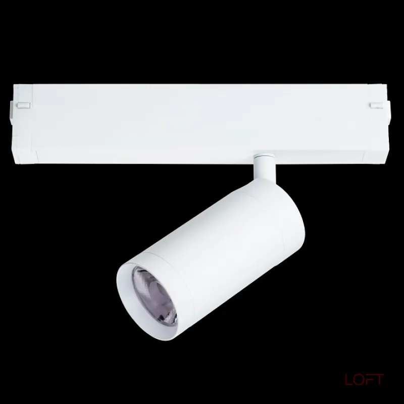Светильник на штанге Lightstar Teta 205026 от ImperiumLoft