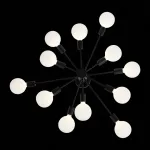 Потолочная люстра EVOLUCE Ano SL419.402.12 