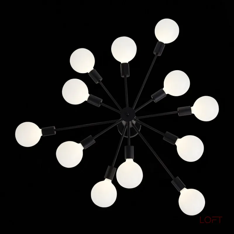 Потолочная люстра EVOLUCE Ano SL419.402.12 