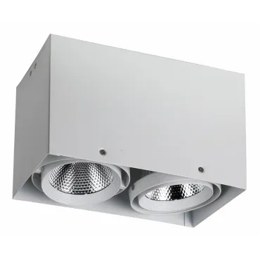 Накладной светильник Favourite Flashled 1986-2U