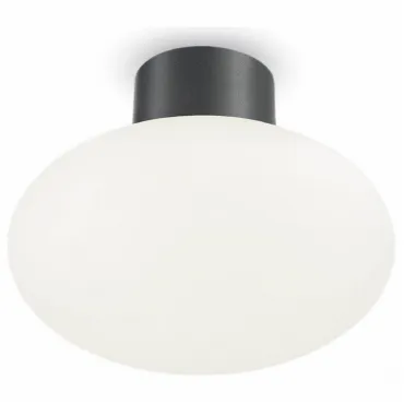 Накладной светильник Ideal Lux Clio CLIO MPL1 ANTRACITE Цвет плафонов белый