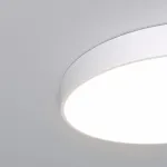 Накладной светильник Eurosvet Entire 90320/1 белый от ImperiumLoft