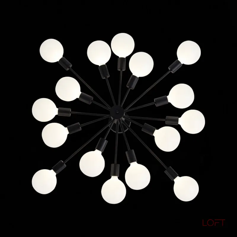 Потолочная люстра EVOLUCE Ano SL419.402.16 