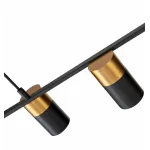 Подвесной светильник Indigo Liberta 11014/6P Black от ImperiumLoft