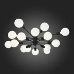 Потолочная люстра EVOLUCE Ano SL419.402.16 