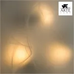 Потолочный светильник Arte Lamp Luna A3450PL-3CC 