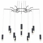 Подвесная люстра Maytoni MOD035PL-12B