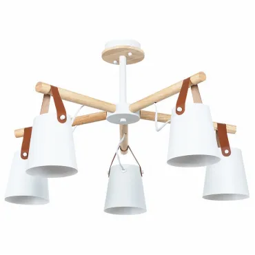 Люстра на штанге Arte Lamp Thomas A7032PL-5WH