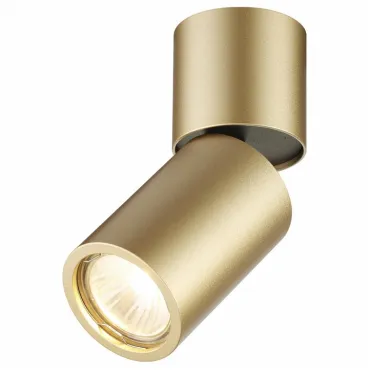 Накладной светильник Odeon Light Duetta 3895/1C Цвет арматуры золото Цвет плафонов золото